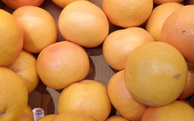 Workout Nutrition Tips for Optimal Performance and Recovery