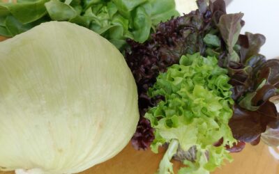 Nutrition and Mental Health: How What You Eat Affects Your Mood