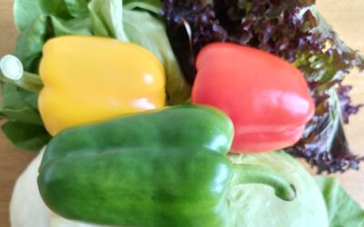 A Healthy Diet Is A Solution Of Our Health Problems